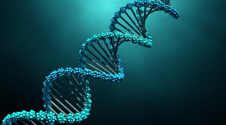dna, science for kids