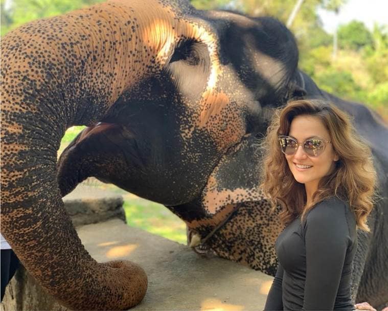 Elli AvrRam