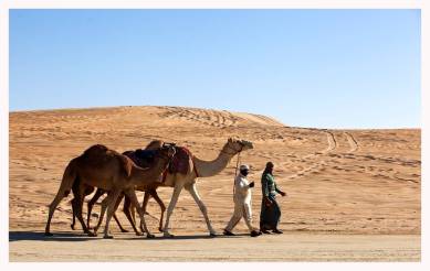 Gulf Malayali, Sakakka in Al Jouf , Jeddah, Gulf migration transformed Kerala society, economy, landscape, indian express, indian express news