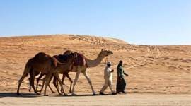 Gulf Malayali, Sakakka in Al Jouf , Jeddah, Gulf migration transformed Kerala society, economy, landscape, indian express, indian express news