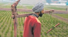 Explained: Why farmers are not cheering Punjab’s fuel price cut
