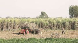 Concerned more about unseasonal rain than war, say Punjab border villagers