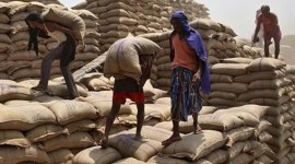 FCI, fci exam date, fci admit card, fci hall ticket, fci exam pattern, fci jobs exam date, fci job exam pattern, fci recruitment, fci recruitment 2019 exam date, food corporation of india, food corporation of india recruitment, exam pattern, fci.gov.in, FCI paper I, FCI online application form, fci online mock test, food corporation of india question paper, fci mock test, fci question paper, employment news, sarkari exam, sarkari naukri, latest govt job notification, new sarkari naukri,