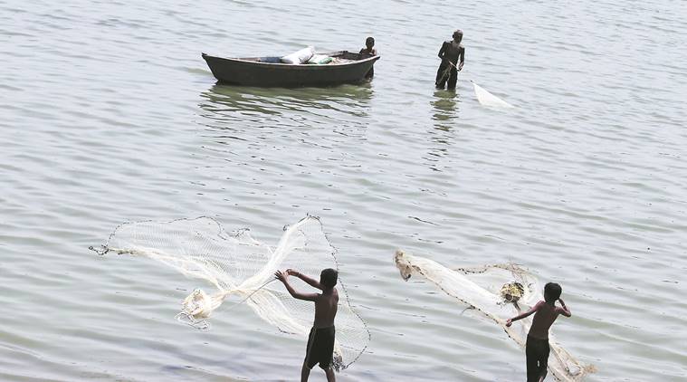 Interim budget: Shrimp farmers give a thumbs up to Gujarat govt