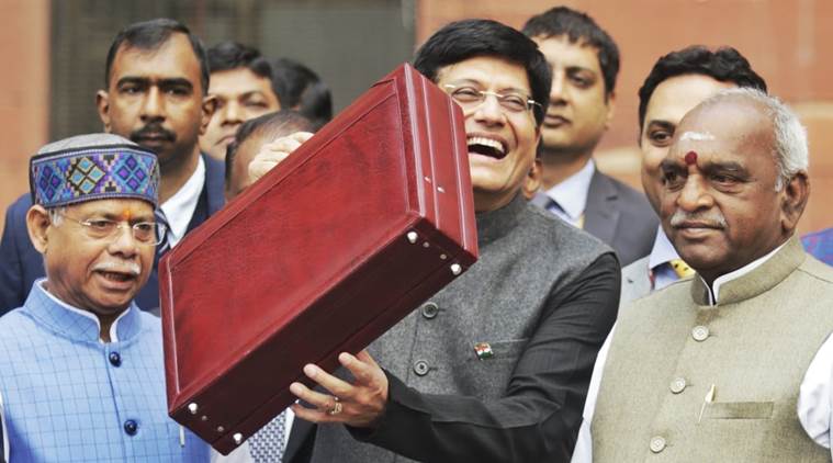 Acting Finance Minister Piyush Goyal arrives at the Parliament on Friday. (Express photo/Praveen Khanna)
