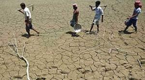 Gujarat: Farm NPAs jump by 333% in 5 years, outlook stays bleak