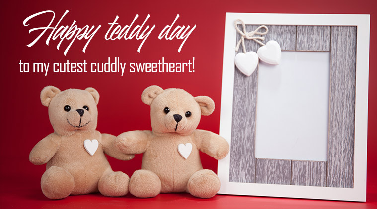 teddy day happy teddy day