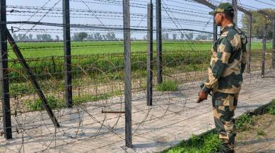 Border Security Force personnel stands. (file/PTI)