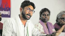 jignesh mevani, jignesh mevani fake video case, jignesh mevani case, fake video case jignesh mevani, gujarat high court, india news, Indian Express