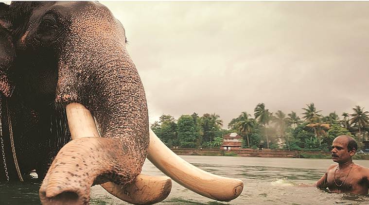 Kerala’s new tourism campaign pans on the common man as the state’s real hero