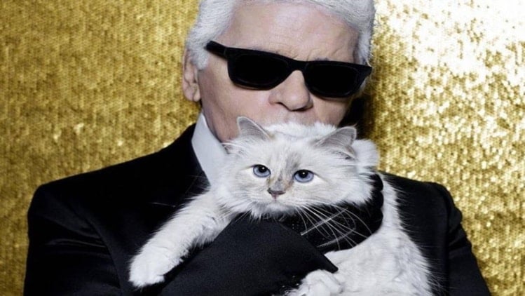 Could Karl Lagerfeld’s cat Choupette inherit his millions? | Life-style ...