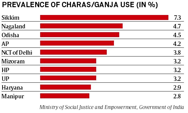 cannabis, cannabis farming, cannabis use, Indians using cannabis; ganja, ganja use, marijuana leaf, ganja in Northeast, legalise cannabis, Northeast news