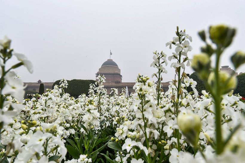 Iconic Mughal Gardens of Rashtrapati Bhavan to open for public from tomorrow