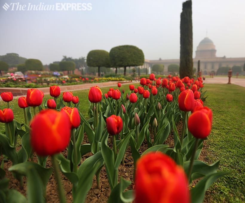 Iconic Mughal Gardens of Rashtrapati Bhavan to open for public from tomorrow