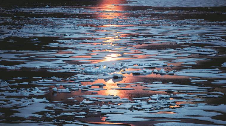 Magnetic north pole