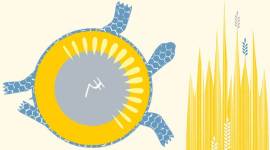 farmers, narendra Modi, votebank, lok sabha polls 2019, lok sabha elections 2019, lok sabha polls, lok sabha elaections, agriculture, farmers benefit, package for farmers, budget for farmers, farmers scheme