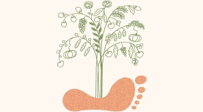 Indian farmers, farmers protest, India Agriculture Census, Agriculture crisis, Indian express