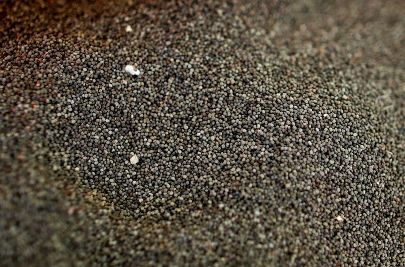 Inside the Mexican town that supplies most of United States' heroin