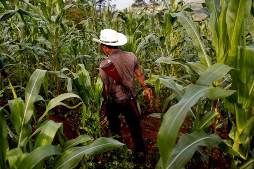 Inside the Mexican town that supplies most of United States' heroin