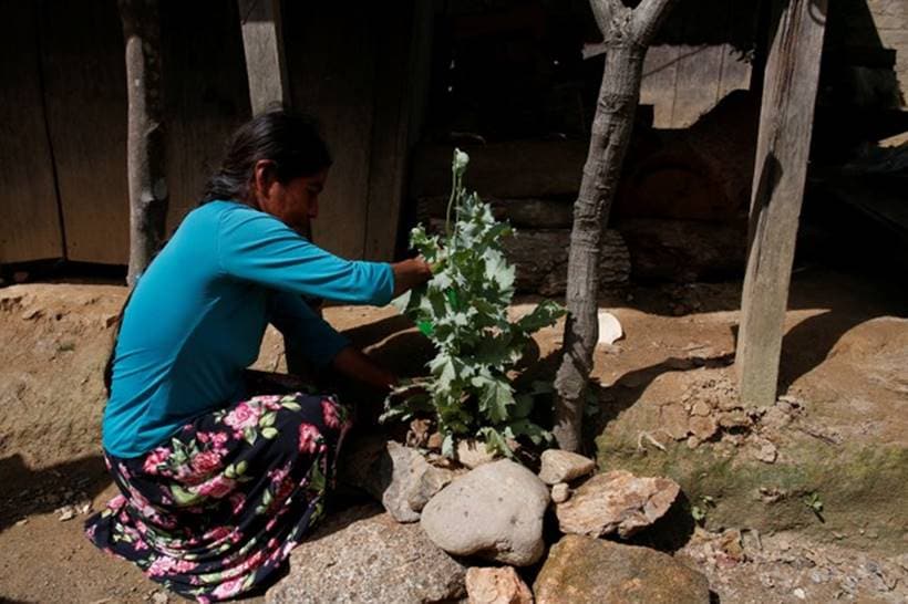 Inside the Mexican town that supplies most of United States' heroin
