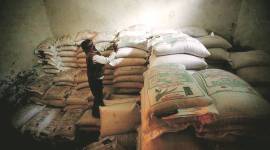 Covid-time demand helps whittle down FCI grain stocks