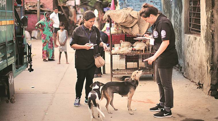 Rabies vaccine in short supply across Delhi, hospitals say have flagged