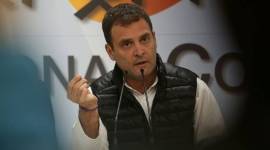 RAHUL gandhi, Congress ncp alliance, lok sabha elections, lok sabha polls, lok sabha elections 2019, indian express