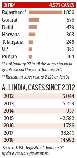 swine flu in India, Rajasthan