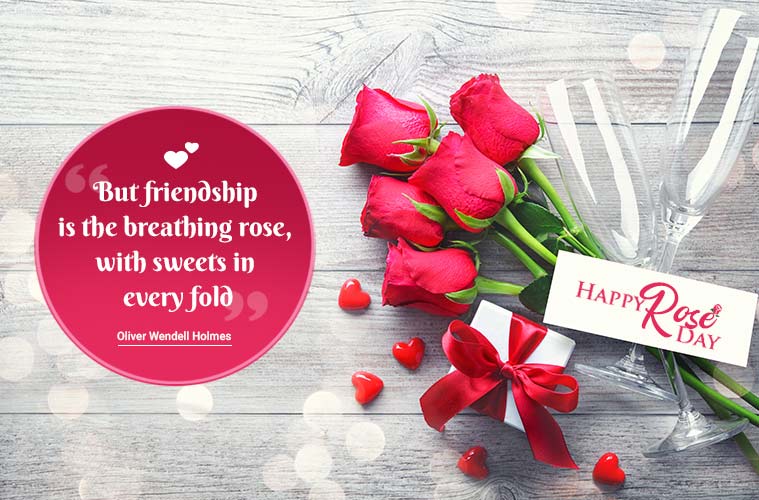 Happy Rose Day 2019 Wishes Images, Status, Quotes ...