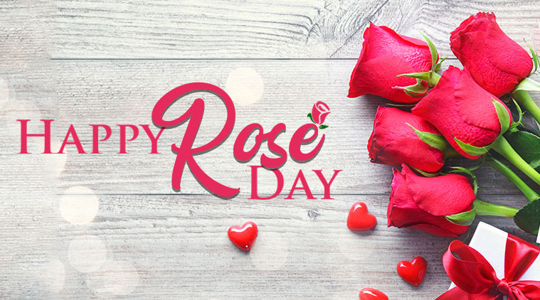 Happy Rose Day Images 2021: Wishes Quotes, Images, Status, Greetings Card,  Photos Download