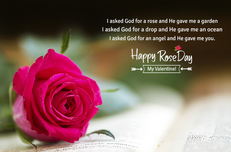 Happy Rose Day 2019 Wishes Images, Status, Messages, and Pictures |  Lifestyle News,The Indian Express