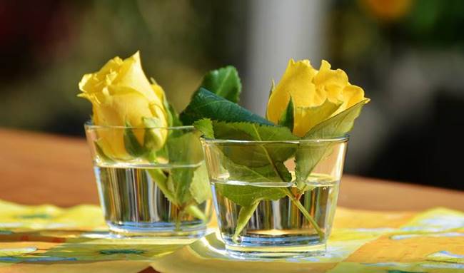happy rose day, happy rose day 2019, happy rose day images, happy rose day images 2019, happy rose day wishes images, happy rose day quotes, happy rose day wishes quotes, happy rose day wallpaper, happy rose day video, happy rose day pics, happy rose day photos, indian express, indian express news