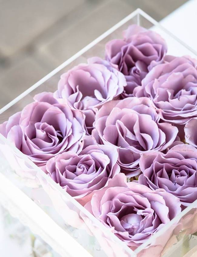 happy rose day, happy rose day 2019, happy rose day images, happy rose day images 2019, happy rose day wishes images, happy rose day quotes, happy rose day wishes quotes, happy rose day wallpaper, happy rose day video, happy rose day pics, happy rose day photos, indian express, indian express news