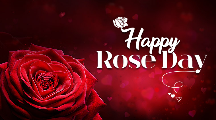 Happy Rose Day Images Hd Wallpapers Photos Download 2020 Wishes