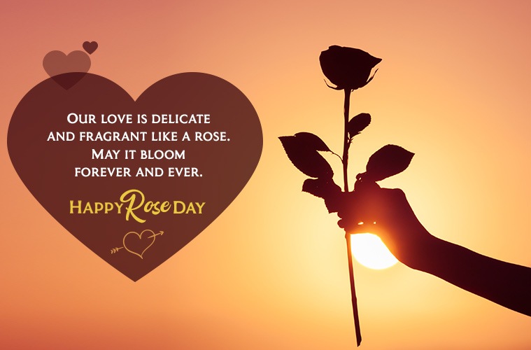 Rose Day Wishes 4 