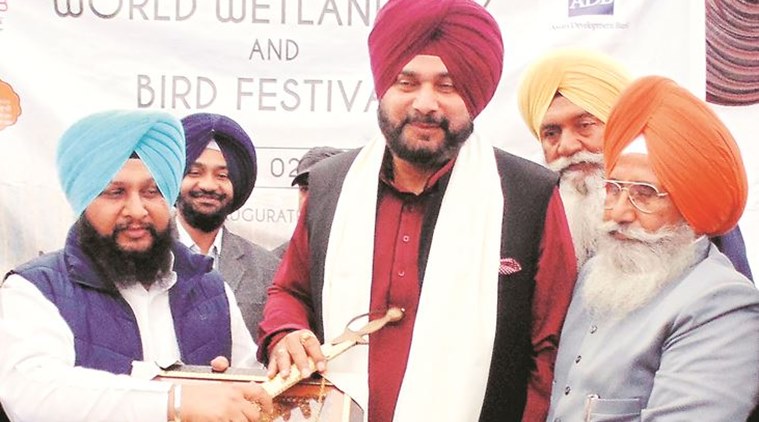 Sidhu wants Pakistan dolphins for Beas, will offer Imran Khan Punjab gharials