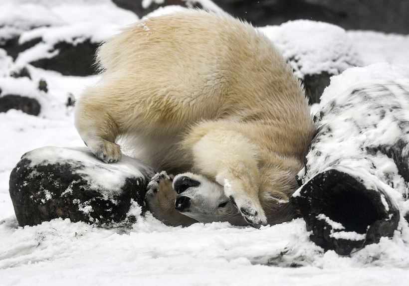 Polar Vortex 2019: Chilling photos that will make you stay inside