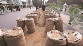 World on a Palette at India Art Fair in Delhi