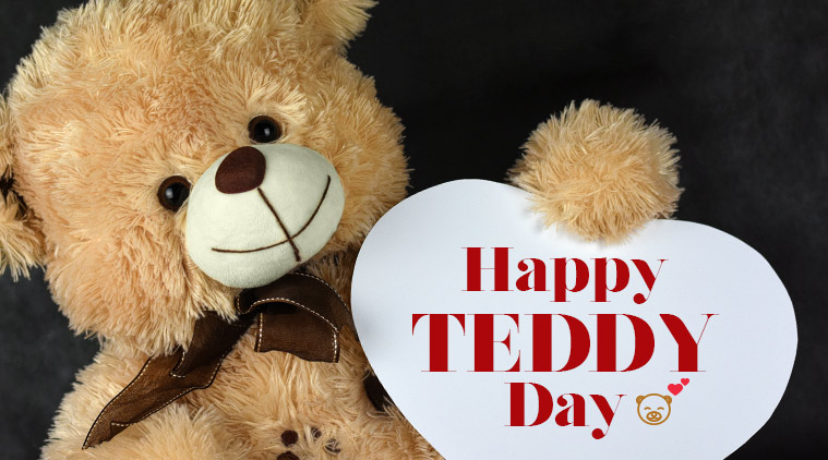 teddy bear day in february