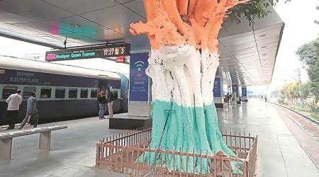 It is death by paint for trees at Chandigarh rly station