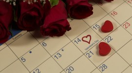 Valentine's Week Days List 2019: Calendar, Date Sheet of Rose, Propose, Chocolate, Promise, Hug, Teddy, and Kiss Day