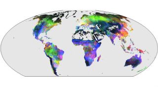 Artificial intelligence, AI, Earth, Earth climate, AI to study Earth climate, AlphaGo, Friedrich Schiller University Jena, deep learning