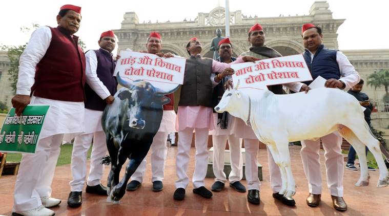 UP budget sesssion