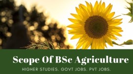 BSc Agriculture, BSc Agriculture India, Agriculture Entrance Exams, Higher Studies