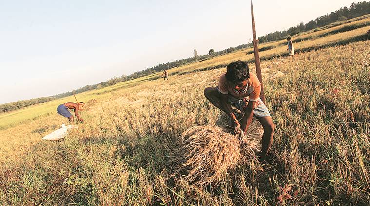 A Vaidyanathan’s pioneering work on agriculture remains a reference point - The Indian Express
