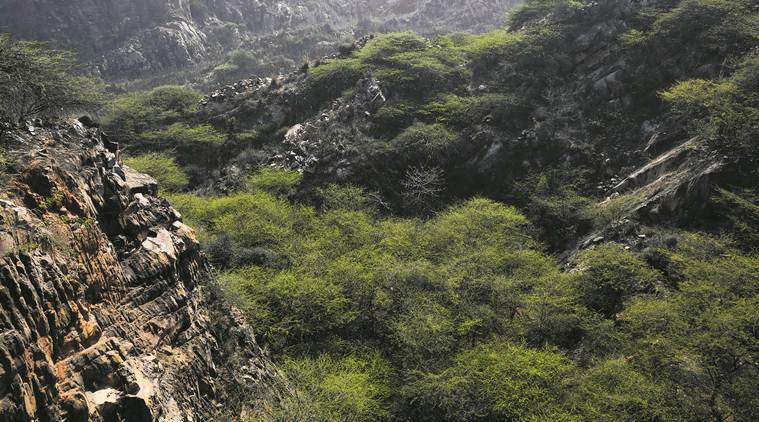 Why Aravallis matter to National Capital Region