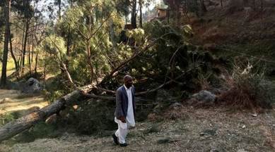 Two Reuters reporters who visited the site of the bombings, where four large craters could be seen, said up to 15 pine trees had been brought down by the blasts. (Reuters)