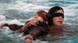 bird box book sequel