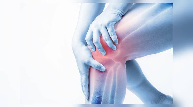 bone, bone injury, cartilage