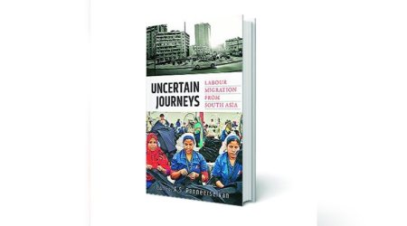 book review, labour migration, essays